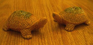 Salt and Pepper Shakers